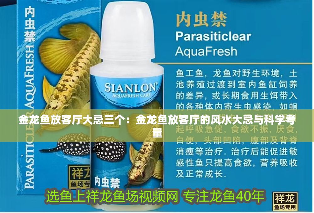 金龍魚放客廳大忌三個(gè)：金龍魚放客廳的風(fēng)水大忌與科學(xué)考量