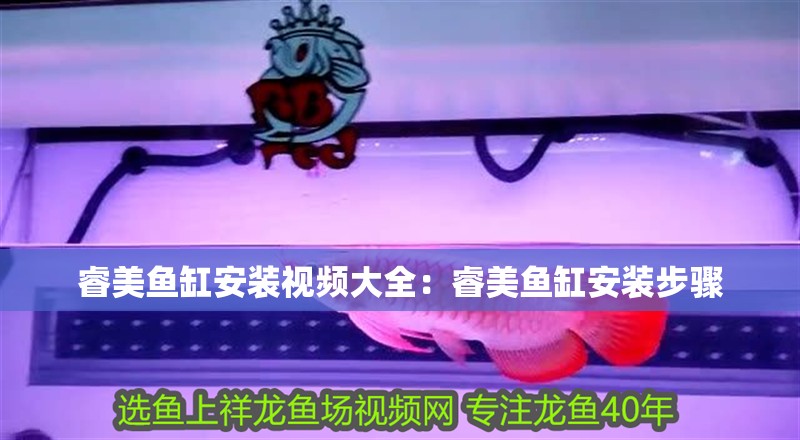 睿美魚缸安裝視頻大全：睿美魚缸安裝步驟