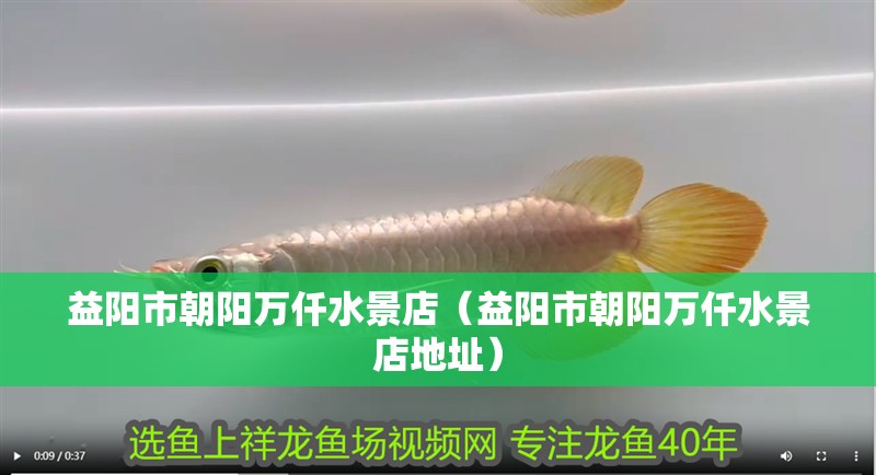 益陽市朝陽萬仟水景店（益陽市朝陽萬仟水景店地址）