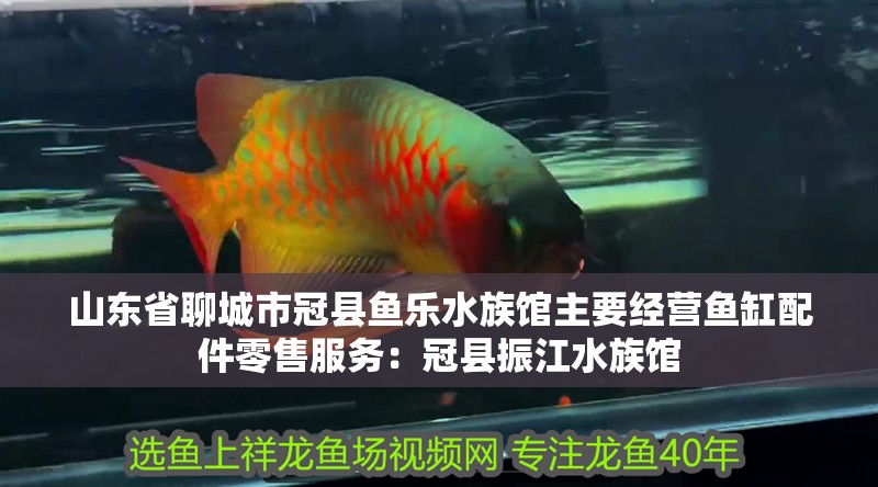 山東省聊城市冠縣魚樂水族館主要經營魚缸配件零售服務：冠縣振江水族館
