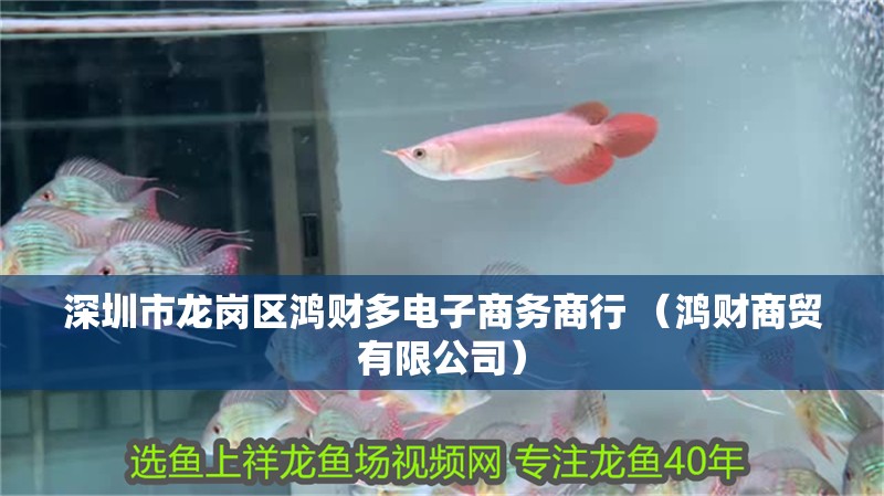 深圳市龍崗區(qū)鴻財多電子商務(wù)商行 （鴻財商貿(mào)有限公司）