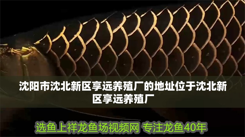 沈陽市沈北新區享遠養殖廠的地址位于沈北新區享遠養殖廠