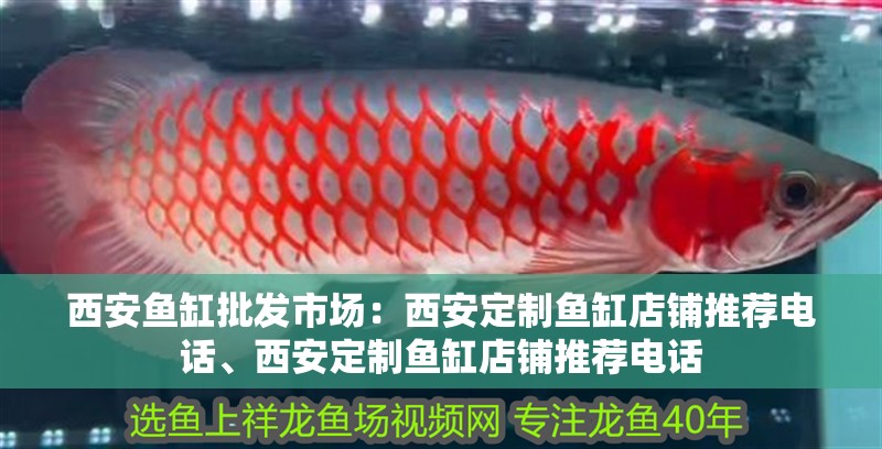 西安魚缸批發市場：西<strong><mark>安定</mark></strong>制魚缸店鋪推薦電話、西<strong><mark>安定</mark></strong>制魚缸店鋪推薦電話