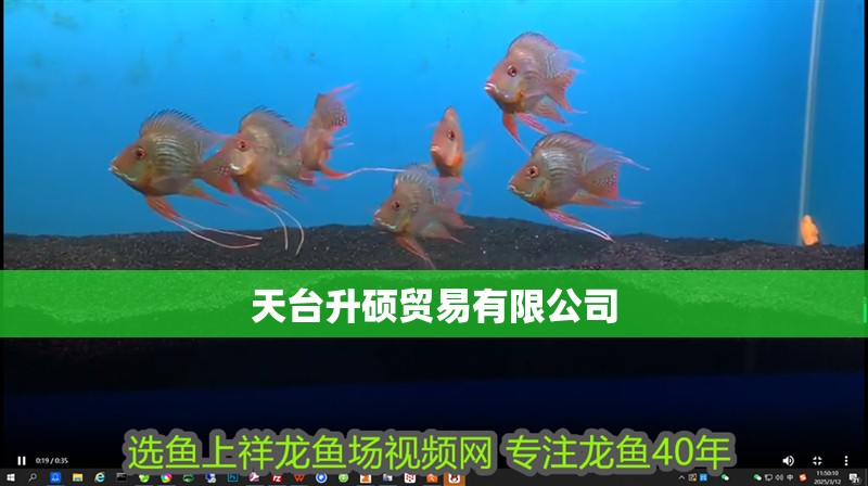 天臺升碩貿易有限公司