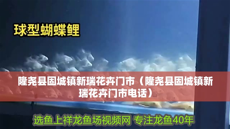 隆堯縣固城鎮新瑞花卉門市（隆堯縣固城鎮新瑞花卉門市電話）