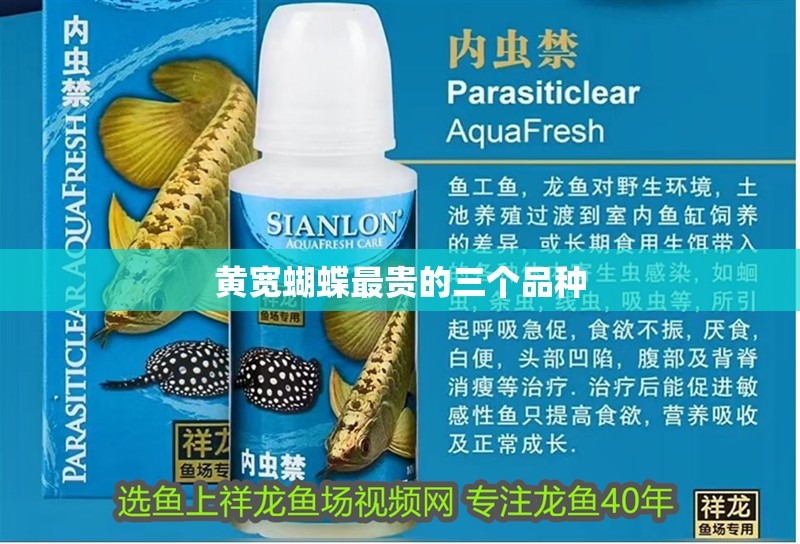 黃寬蝴蝶最貴的三個品種