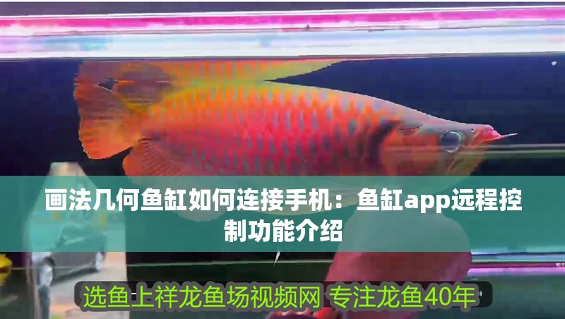 畫法幾何魚缸如何連接手機：魚缸app遠程控制功能介紹