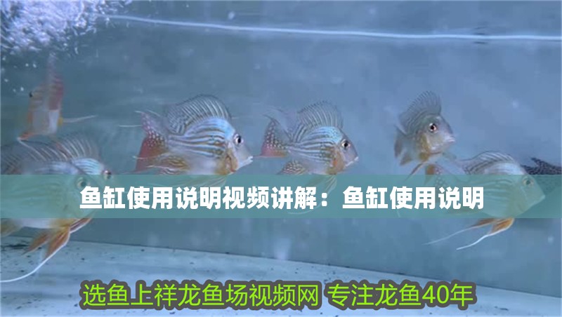 魚缸使用說明視頻講解：魚缸使用說明