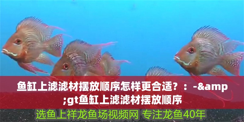 魚缸上濾濾材擺放順序怎樣更合適？：-&gt魚缸上濾濾材擺放順序