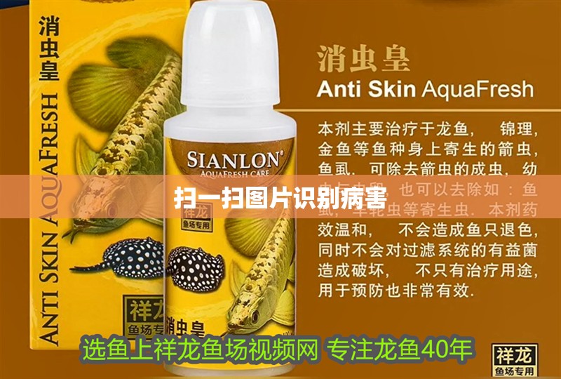 掃一掃圖片識別病害