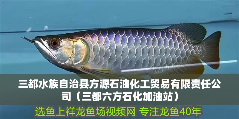 三都水族自治縣方源石油化工貿易有限責任公司（三都六方石化加油站）