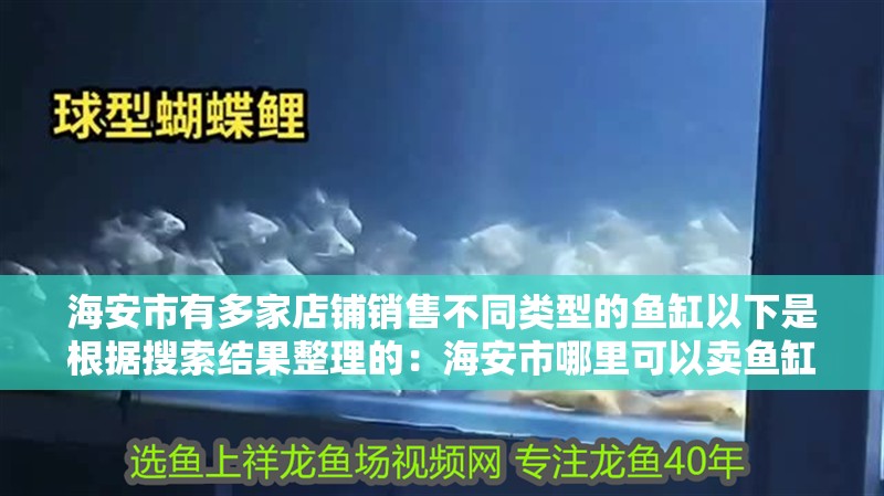 海安市有多家店鋪銷售不同類型的魚缸以下是根據搜索結果整理的：海安市哪里可以賣魚缸