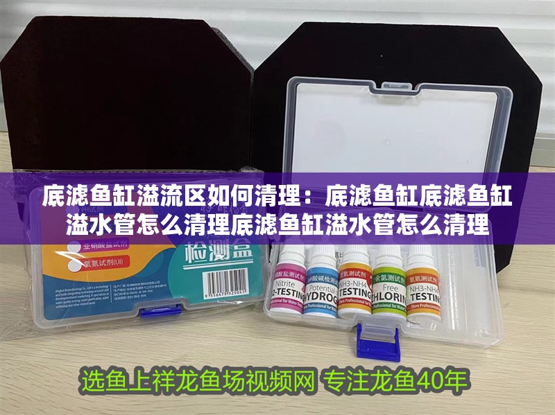 底濾魚缸溢流區如何清理：底濾魚缸底濾魚缸溢水管怎么清理底濾魚缸溢水管怎么清理