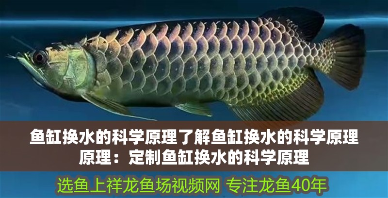 魚缸換水的科學原理了解魚缸換水的科學原理原理：定制魚缸換水的科學原理