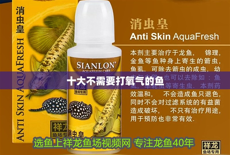 十大不需要打氧氣的魚