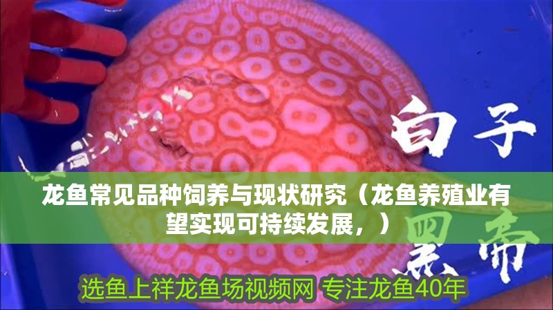 龍魚常見品種飼養(yǎng)與現(xiàn)狀研究（龍魚養(yǎng)殖業(yè)有望實(shí)現(xiàn)可持續(xù)發(fā)展，）