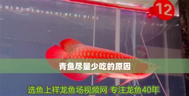 青魚盡量少吃的原因