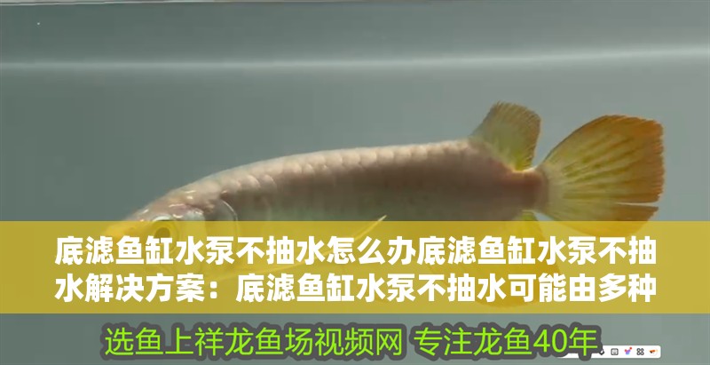 底濾魚缸水泵不抽水怎么辦底濾魚缸水泵不抽水解決方案：底濾魚缸水泵不抽水可能由多種原因引起搜索結果整理