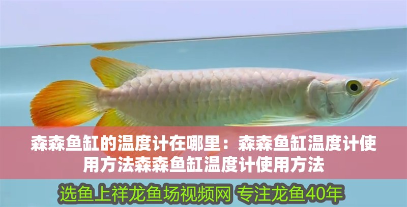 森森魚缸的溫度計在哪里：森森魚缸溫度計使用方法森森魚缸溫度計使用方法