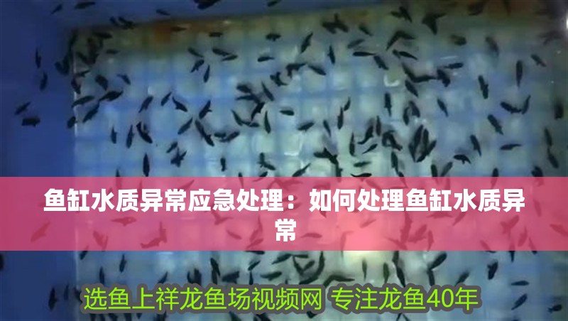 魚缸水質(zhì)異常應(yīng)急處理：如何處理魚缸水質(zhì)異常