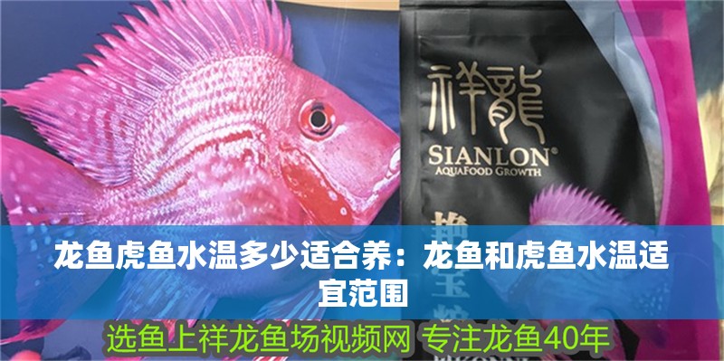 龍魚虎魚水溫多少適合養：龍魚和虎魚水溫適宜范圍