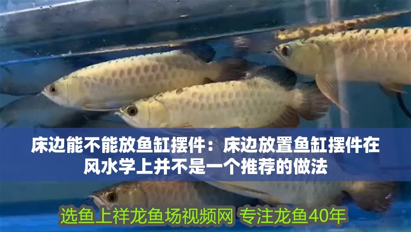 床邊能不能放魚缸擺件：床邊放置魚缸擺件在風水學上并不是一個推薦的做法