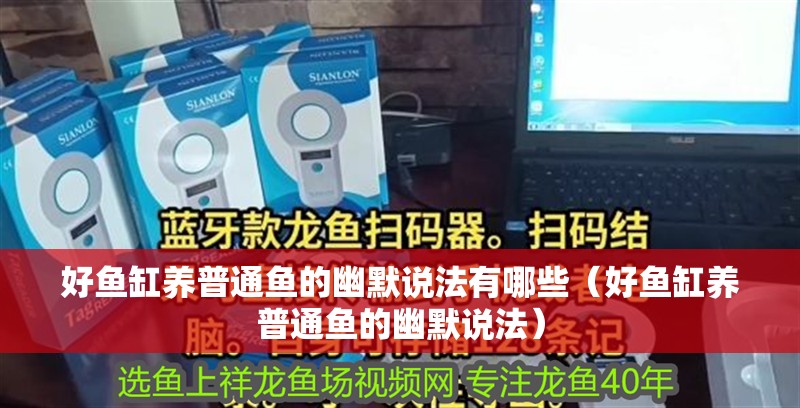 好魚缸養普通魚的幽默說法有哪些（好魚缸養普通魚的幽默說法）