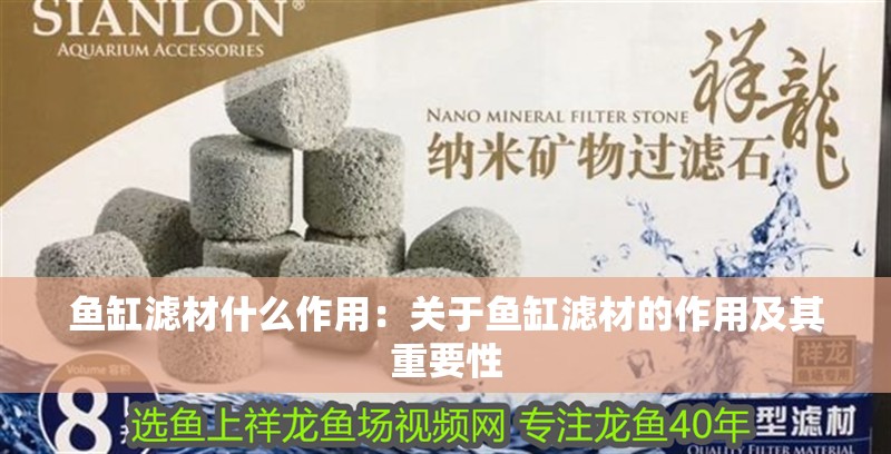 魚缸濾材什么作用：關于魚缸濾材的作用及其重要性
