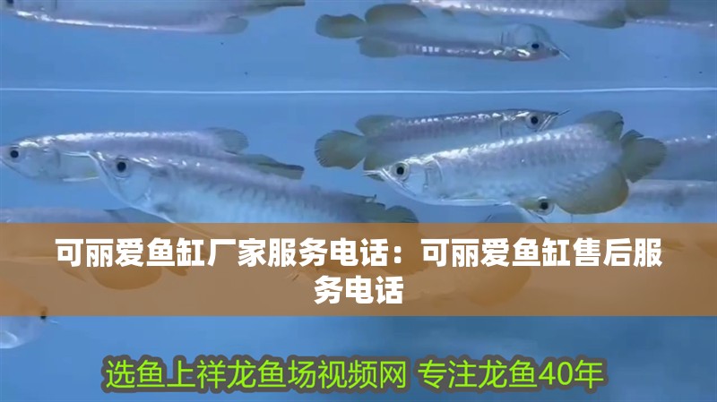可麗愛魚缸廠家服務電話：可麗愛魚缸售后服務電話