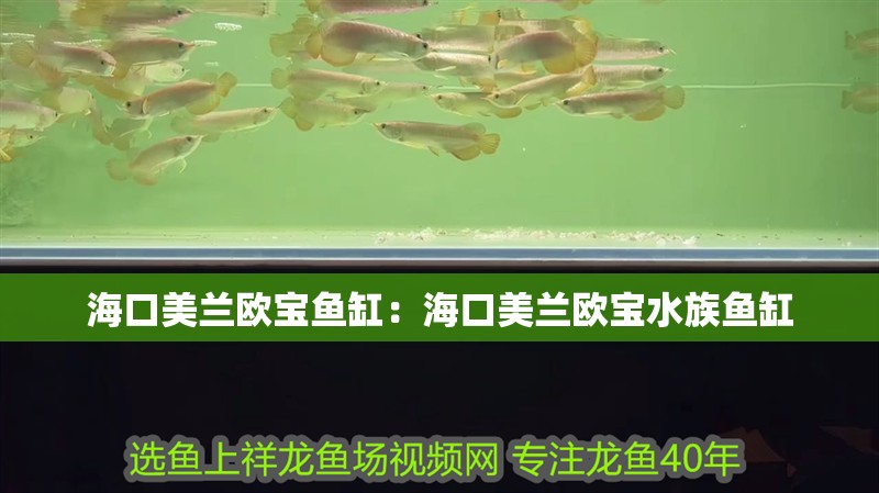 <strong><mark>海口</mark></strong>美蘭歐寶魚缸：<strong><mark>海口</mark></strong>美蘭歐寶水族魚缸
