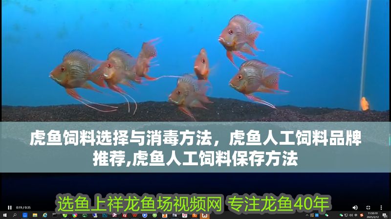 虎魚飼料選擇與消毒方法，虎魚人工飼料品牌推薦,虎魚人工飼料保存方法 虎魚飼料選擇與消毒方法，虎魚人工飼料品牌推薦,虎魚人工飼料保存方法 虎魚百科 第1張