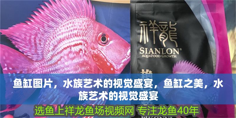 魚缸圖片,水族藝術的視覺盛宴,魚缸之美,水族藝術的視覺盛宴 龍魚常見疾病 第1張 魚缸圖片,水族藝術的視覺盛宴,魚缸之美,水族藝術的視覺盛宴 魚缸圖片,水族藝術的視覺盛宴,魚缸之美,水族藝術的視覺盛宴 龍魚常見疾病 第1張
