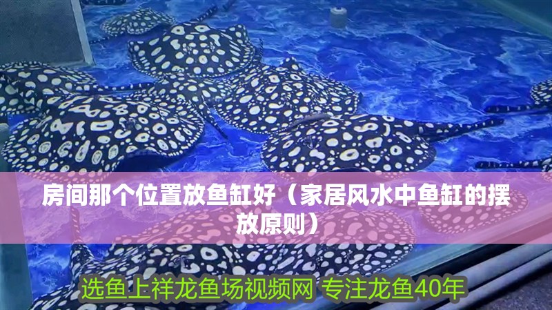 房間那個位置放魚缸好（家居風水中魚缸的擺放原則）