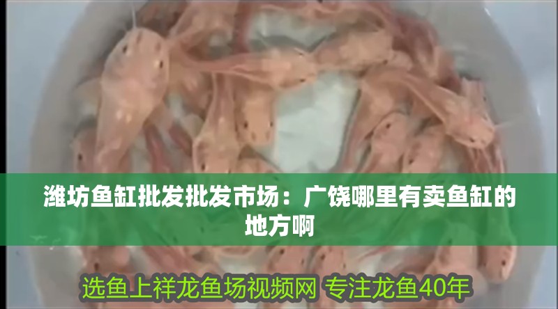 濰坊魚缸批發批發市場：廣饒哪里有賣魚缸的地方啊