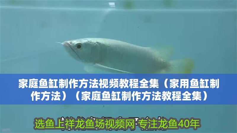 家庭魚缸制作方法視頻教程全集（家用魚缸制作方法）（家庭魚缸制作方法教程全集）