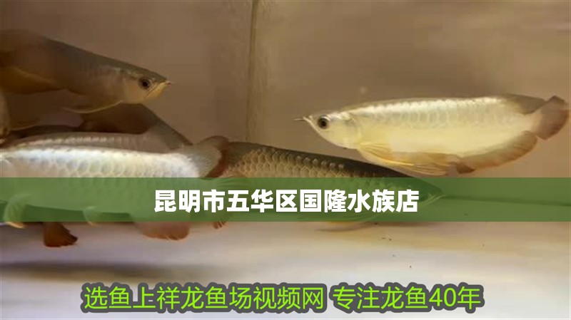 昆明市五華區(qū)國隆水族店