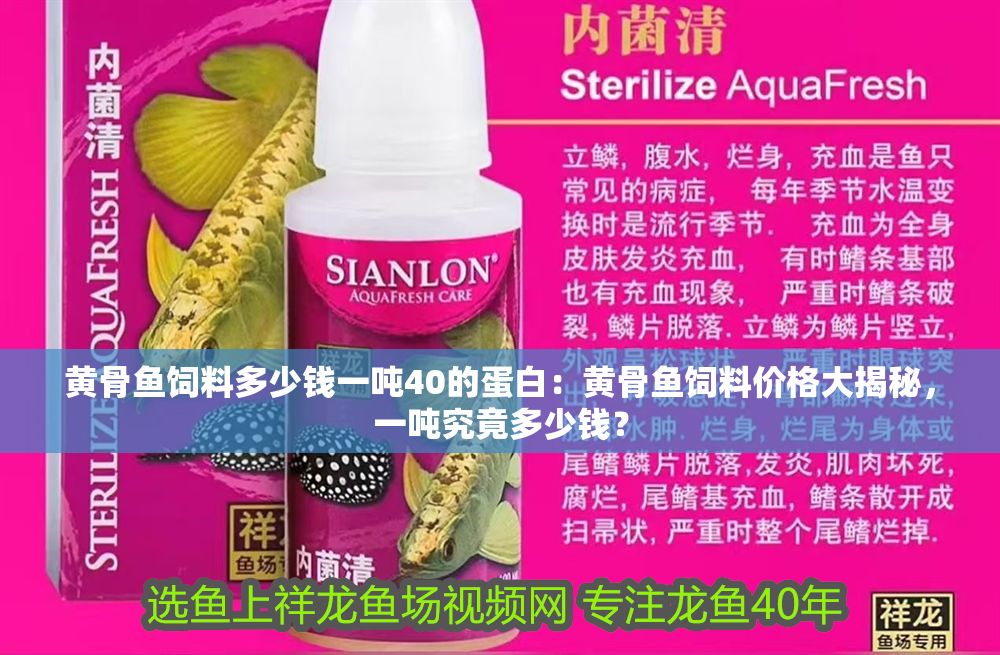 黃骨魚飼料多少錢一噸40的蛋白：黃骨魚飼料價(jià)格大揭秘，一噸究竟多少錢？