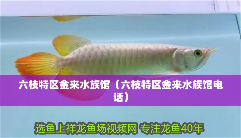 <strong><mark>六枝</mark></strong>特區金來水族館（<strong><mark>六枝</mark></strong>特區金來水族館電話）