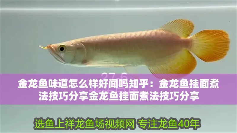金龍魚味道怎么樣好聞嗎知乎：金龍魚掛面煮法技巧分享金龍魚掛面煮法技巧分享