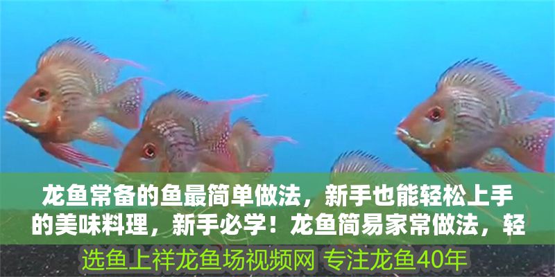 龍魚常備的魚最簡單做法，新手也能輕松上手的美味料理，新手必學！龍魚簡易家常做法，輕松搞定美味料理
