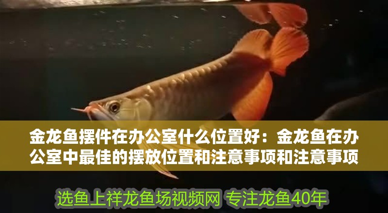 金龍魚擺件在辦公室什么位置好：金龍魚在辦公室中最佳的擺放位置和注意事項和注意事項