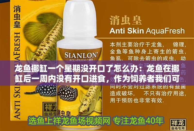 龍魚挪缸一個星期沒開口了怎么辦：龍魚在挪缸后一周內沒有開口進食，作為飼養者我們可以從以下幾個方面排查和解決問題