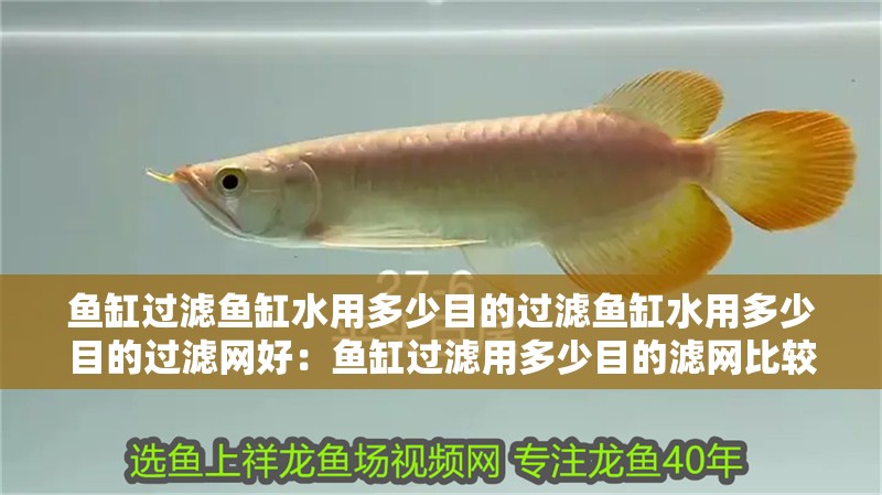 魚(yú)缸過(guò)濾魚(yú)缸水用多少目的過(guò)濾魚(yú)缸水用多少目的過(guò)濾網(wǎng)好：魚(yú)缸過(guò)濾用多少目的濾網(wǎng)比較好