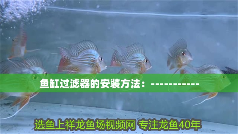 魚(yú)缸過(guò)濾器的安裝方法：-----------