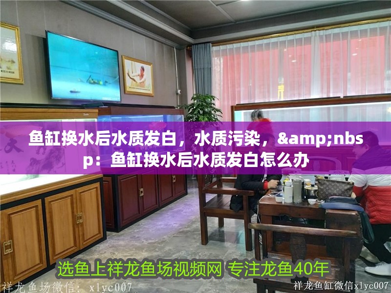 魚缸換水后水質發(fā)白，水質污染，&nbsp：魚缸換水后水質發(fā)白怎么辦