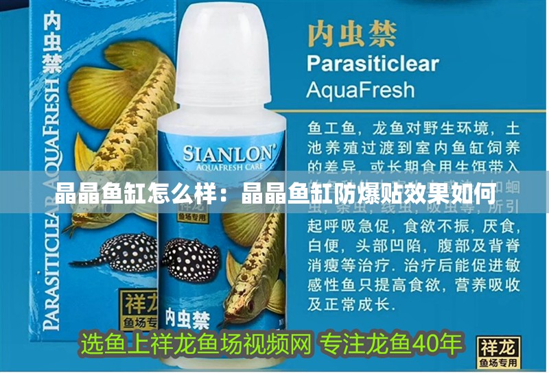 晶晶魚缸怎么樣：晶晶魚缸防爆貼效果如何