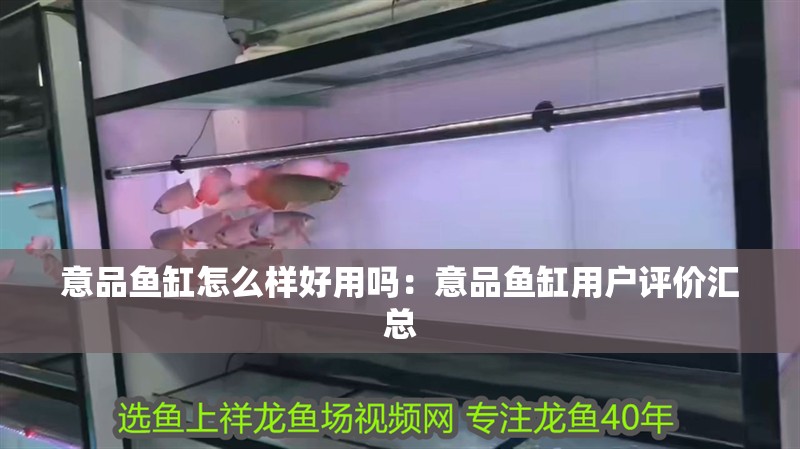 意品魚缸怎么樣好用嗎：意品魚缸用戶評價匯總