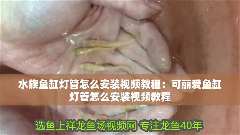 水族魚缸燈管怎么安裝視頻教程：可麗愛魚缸燈管怎么安裝視頻教程