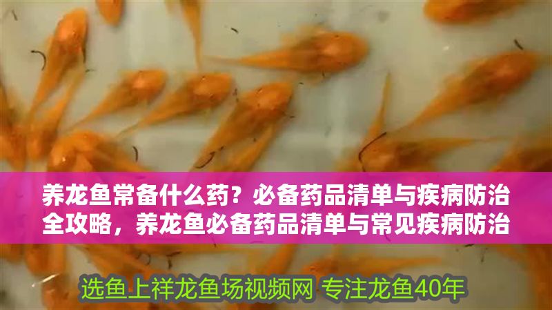 養龍魚常備什么藥？必備藥品清單與疾病防治全攻略，養龍魚必備藥品清單與常見疾病防治全攻略