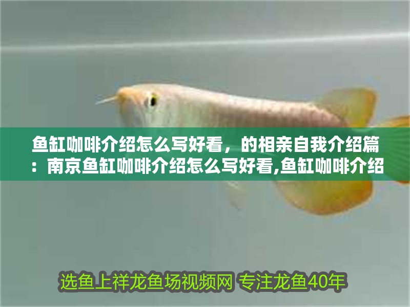 魚缸咖啡介紹怎么寫好看，的相親自我介紹篇：南京魚缸咖啡介紹怎么寫好看,魚缸咖啡介紹怎么寫好看